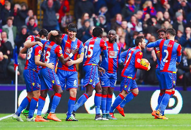 致敬，都柏林动物园将一只极度濒危的鹦鹉取名特洛伊-帕罗特（致敬之举： 都柏林动物园将一只极危鹦鹉命名为特洛伊-帕罗特）